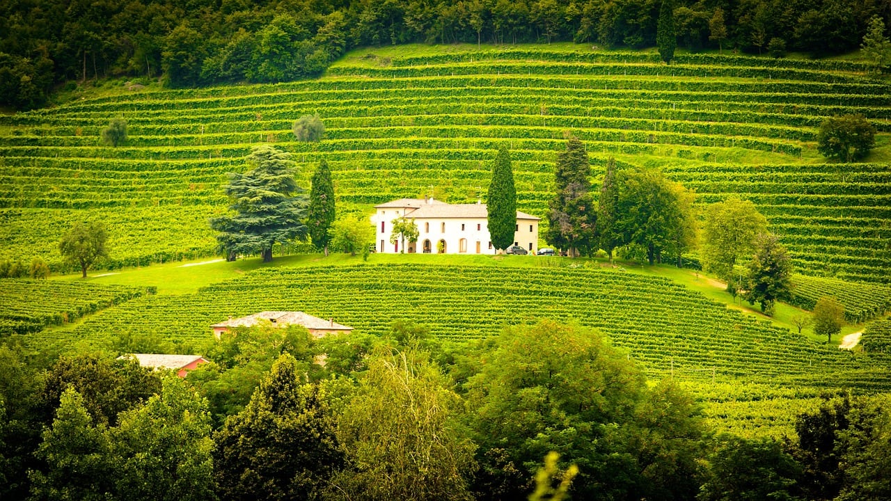 toscana